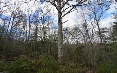 Lot 48 Laurel Brook Blairsville GA 30512