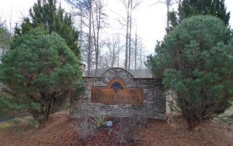 Lot 48 Laurel Brook Blairsville GA 30512