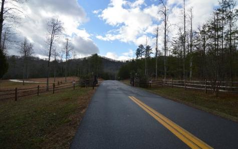 Lot 48 Laurel Brook Blairsville GA 30512