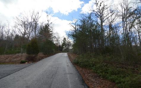 Lot 48 Laurel Brook Blairsville GA 30512