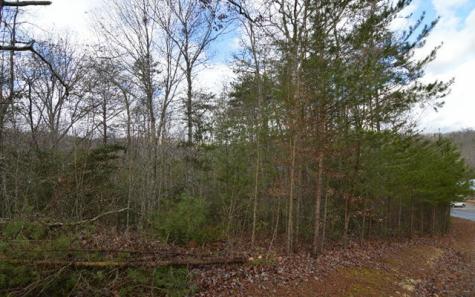 Lot 48 Laurel Brook Blairsville GA 30512