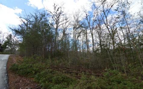Lot 48 Laurel Brook Blairsville GA 30512