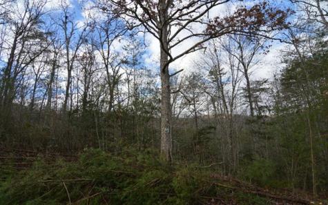 Lot 48 Laurel Brook Blairsville GA 30512