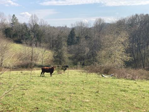 227 Siler Road Franklin NC 28734