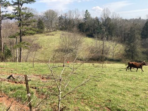 227 Siler Road Franklin NC 28734