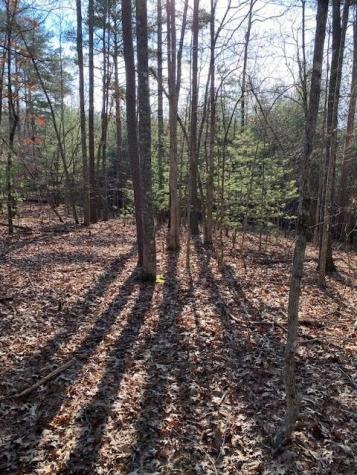 0 Proghorn Lane Murphy NC 28906