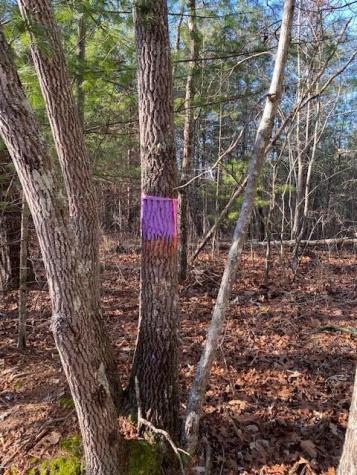 0 Proghorn Lane Murphy NC 28906