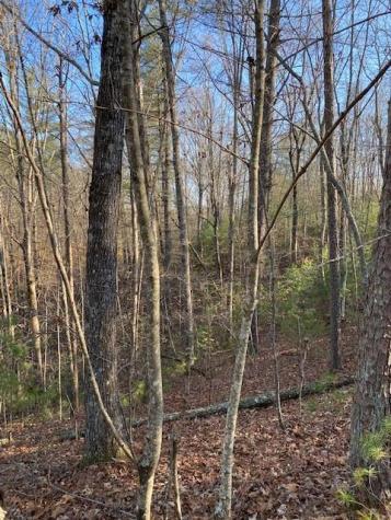 0 Proghorn Lane Murphy NC 28906