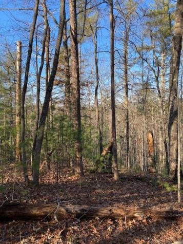 0 Proghorn Lane Murphy NC 28906