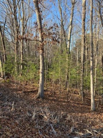 0 Proghorn Lane Murphy NC 28906