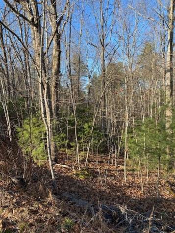 0 Proghorn Lane Murphy NC 28906