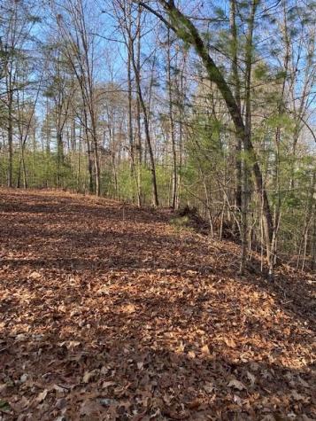 0 Proghorn Lane Murphy NC 28906