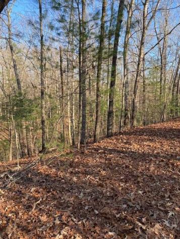 0 Proghorn Lane Murphy NC 28906