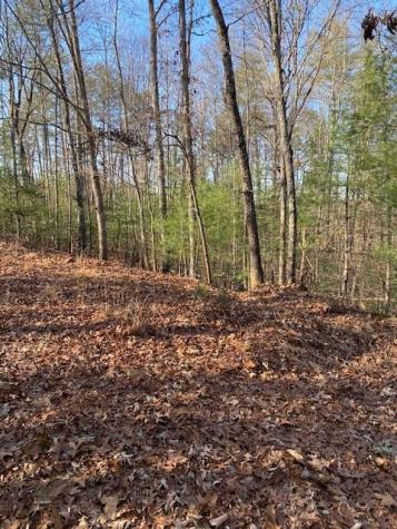 0 Proghorn Lane Murphy NC 28906