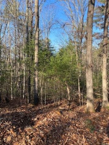 0 Proghorn Lane Murphy NC 28906