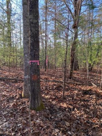 0 Proghorn Lane Murphy NC 28906