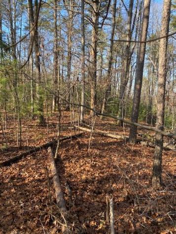 0 Proghorn Lane Murphy NC 28906