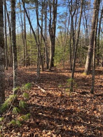 0 Proghorn Lane Murphy NC 28906