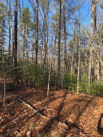 0 Proghorn Lane Murphy NC 28906