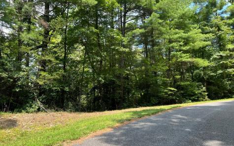 Lot 32 Fires Creek Cove Hayesville NC 28904