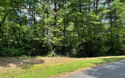 Lot 32 Fires Creek Cove Hayesville NC 28904