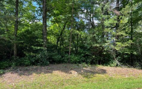 Lot 32 Fires Creek Cove Hayesville NC 28904