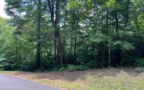 Lot 32 Fires Creek Cove Hayesville NC 28904