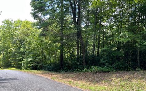 Lot 32 Fires Creek Cove Hayesville NC 28904