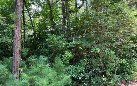 Lot 32 Fires Creek Cove Hayesville NC 28904