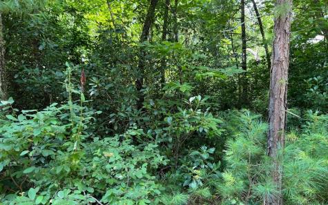 Lot 32 Fires Creek Cove Hayesville NC 28904