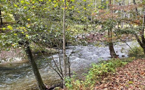 Lot 32 Fires Creek Cove Hayesville NC 28904