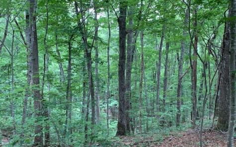 Lot 18 Bruce Mountain Blairsville GA 30512