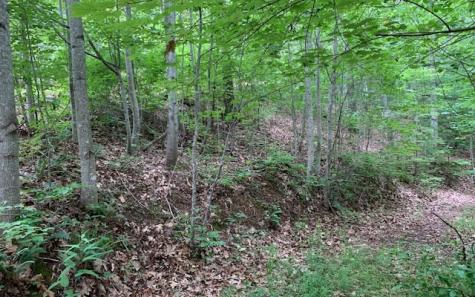 Lot 18 Bruce Mountain Blairsville GA 30512