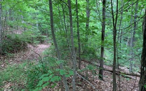 Lot 18 Bruce Mountain Blairsville GA 30512