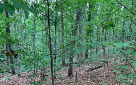 Lot 18 Bruce Mountain Blairsville GA 30512
