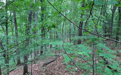 Lot 18 Bruce Mountain Blairsville GA 30512