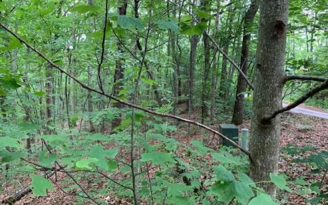 Lot 18 Bruce Mountain Blairsville GA 30512