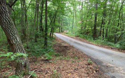 Lot 18 Bruce Mountain Blairsville GA 30512