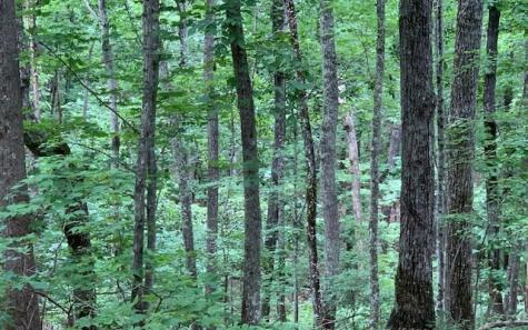 Lot 18 Bruce Mountain Blairsville GA 30512