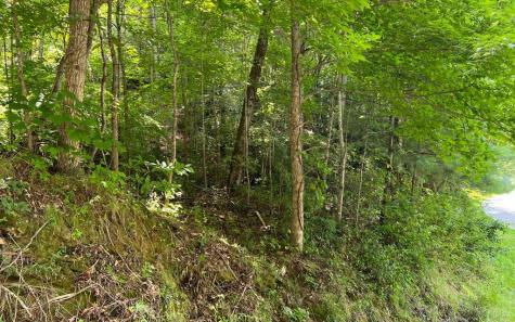 Lot 77 Fires Creek Cove Hayesville NC 28904