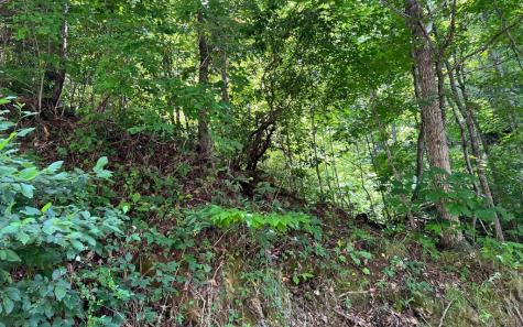 Lot 77 Fires Creek Cove Hayesville NC 28904