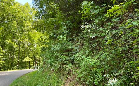 Lot 77 Fires Creek Cove Hayesville NC 28904