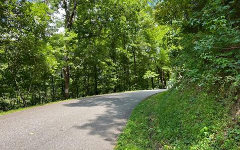 Lot 77 Fires Creek Cove Hayesville NC 28904