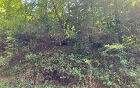 Lot 77 Fires Creek Cove Hayesville NC 28904