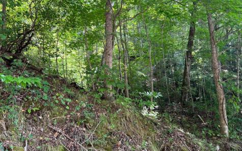 Lot 77 Fires Creek Cove Hayesville NC 28904