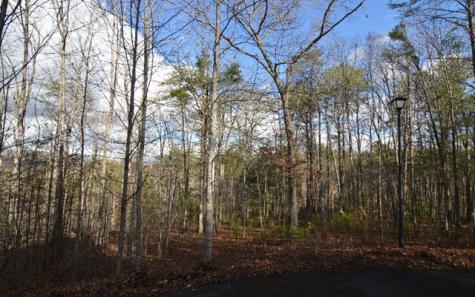 Lot 26 Coosa Bend Blairsville GA 30512