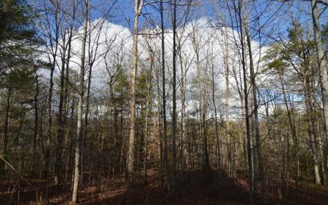Lot 26 Coosa Bend Blairsville GA 30512