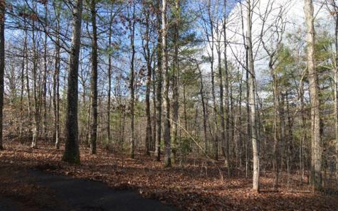 Lot 26 Coosa Bend Blairsville GA 30512